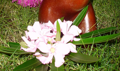 velas