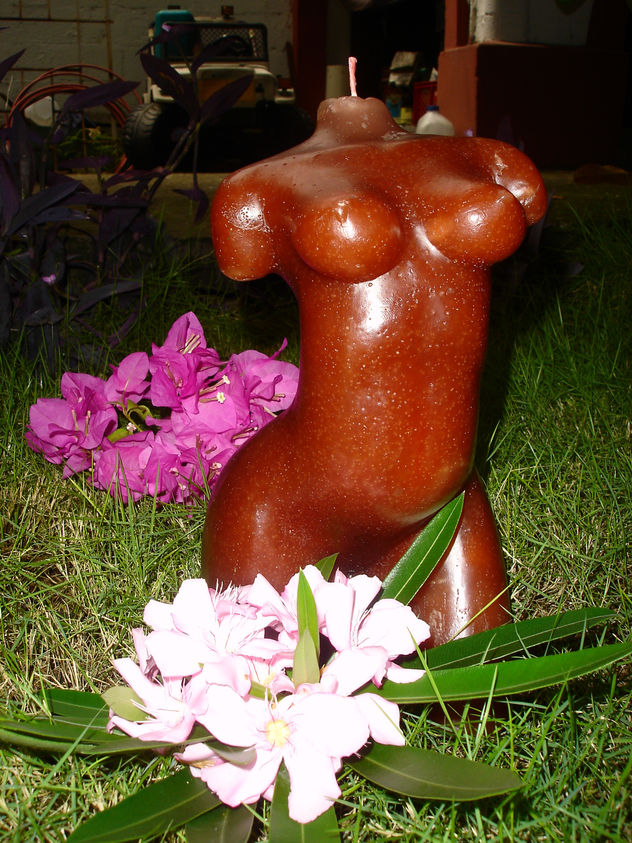 torso de mujer