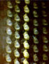 R043.SUCESIÓN II,1981
