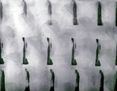 R045.METAMORFOSIS II.1981