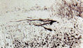 LA LAGUNA ESTIGIA,1982