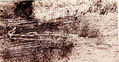 LA LAGUNA ESTIGIA II,1982