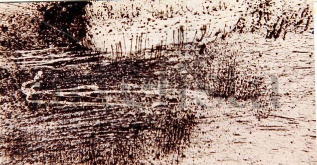 LA LAGUNA ESTIGIA II,1982