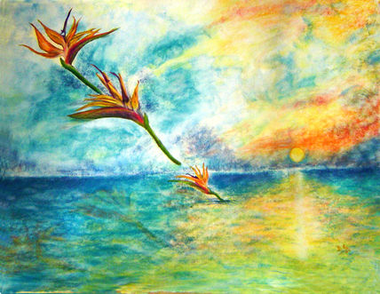 Aves de ilusión