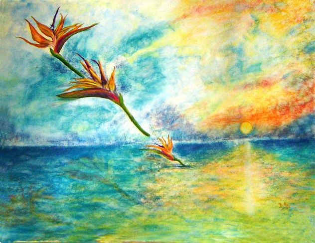 Aves de ilusión