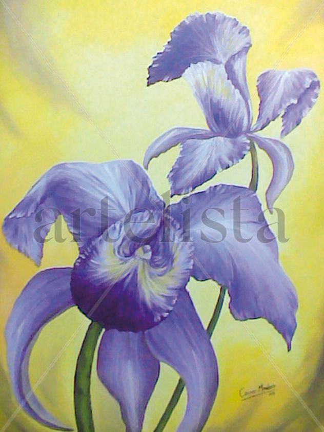 Orquídeas