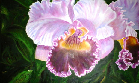 flores
