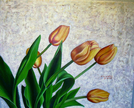 Tulipanes