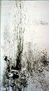 LA LAGUNA ESTIGIA I,1981