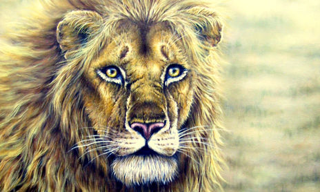 Pinturas de estudio
