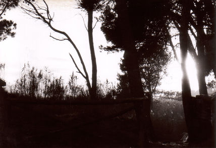 Silhouettes