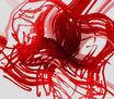 imagen14