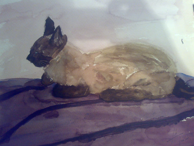 la gata