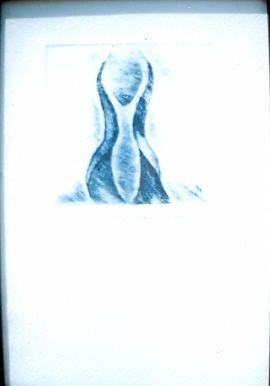 siluetas