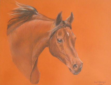 Caballo