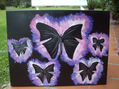 mariposas nocturnas