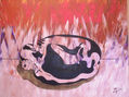 pose fetal femenina