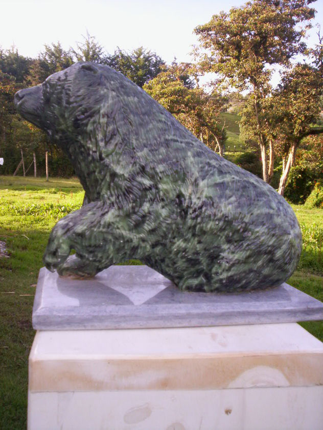 Oso