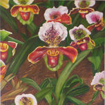 flores thumbnail 1