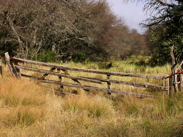 Paisaje rural 