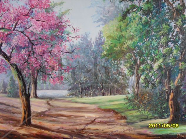 Primavera en Carlos Paz