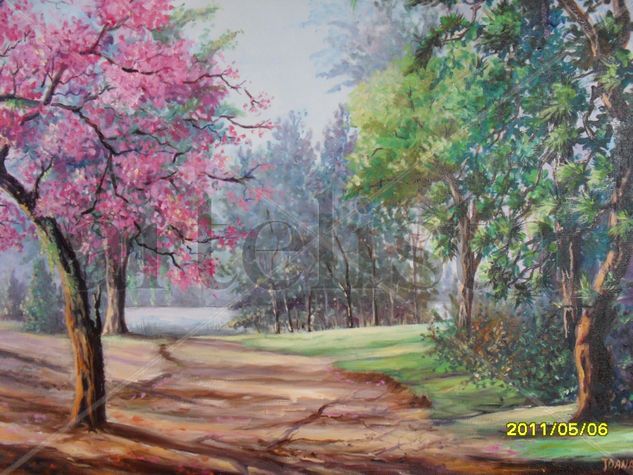 Primavera en Carlos Paz Oil Canvas Landscaping