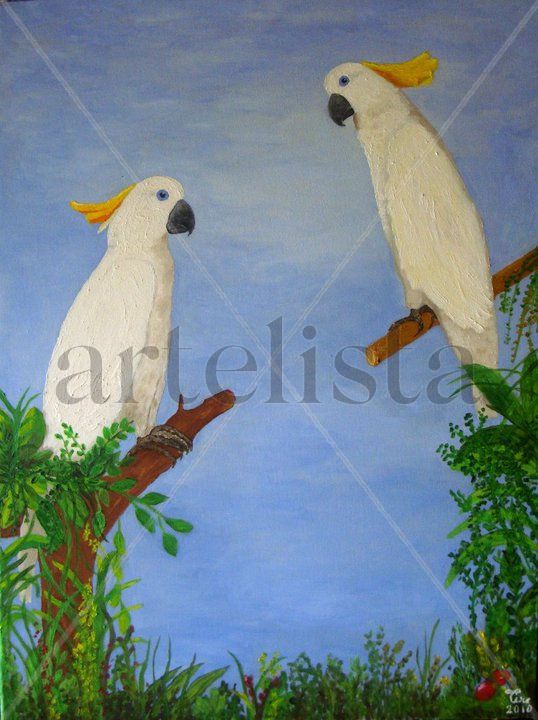 CACATUAS