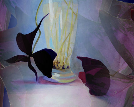 Tréboles violetas