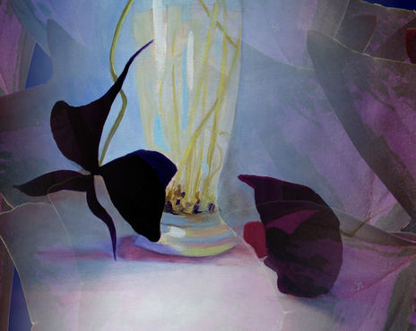 Tréboles violetas