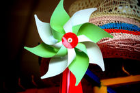 Bolaera