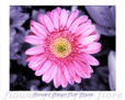 Flor 8