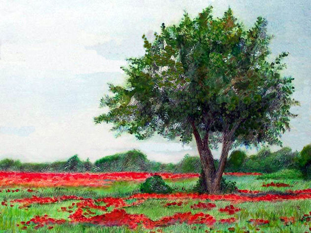 "Arbol en prado de amapolas". 