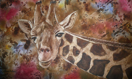 Animales