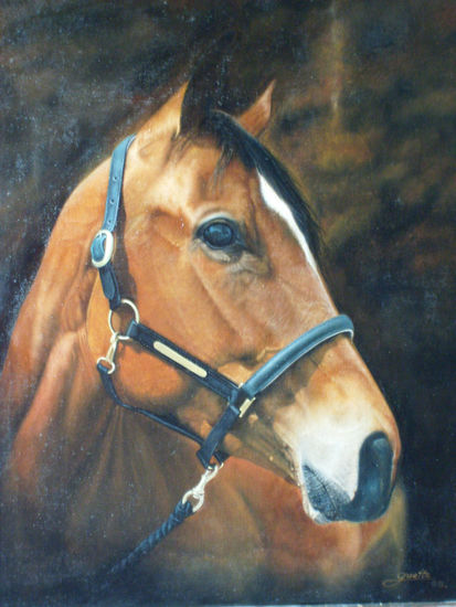 Mi caballo Oil Canvas Animals