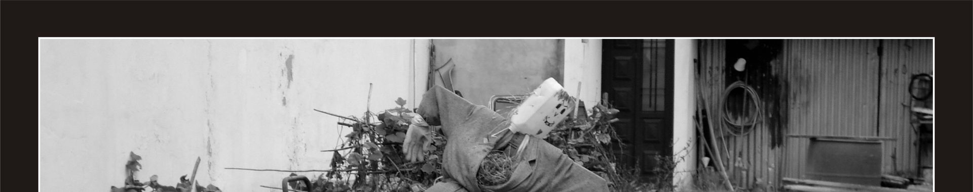Imagen de portada