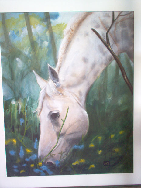 Caballo
