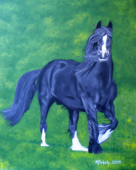 Irish Tinker