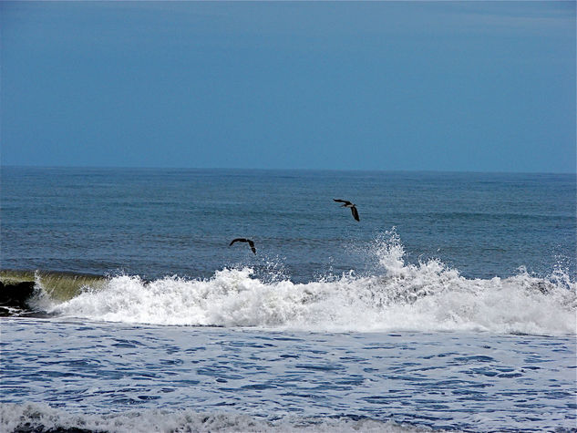 VUELO.... Nature Color (Digital)