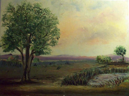 Campo