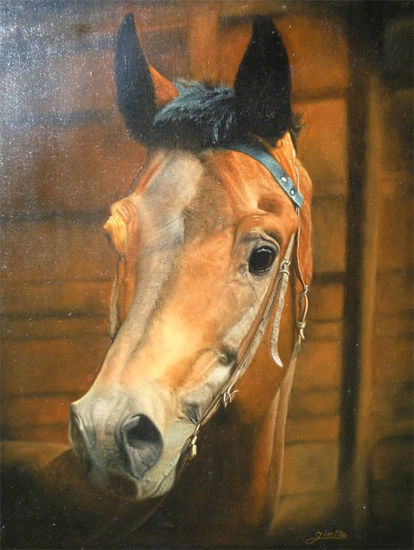 Caballo Cosaco Oil Canvas Animals