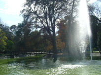 Paisaje