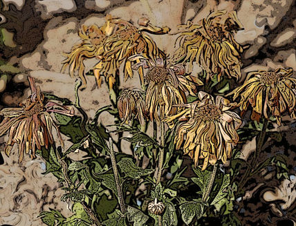 Flors