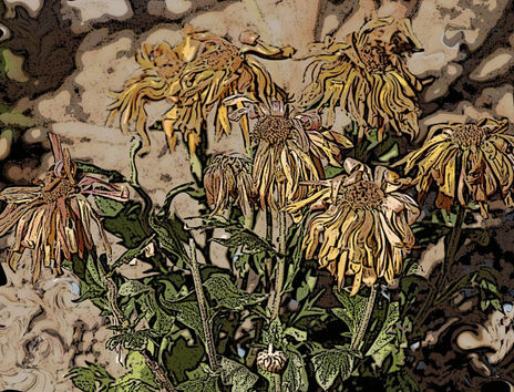 Flors