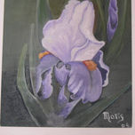 mis flores thumbnail 1
