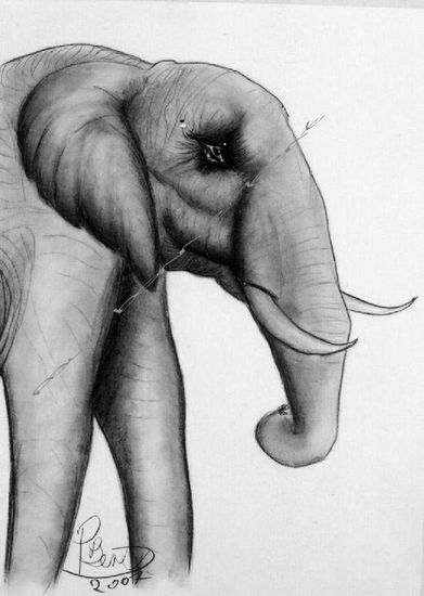 Elefante Charcoal