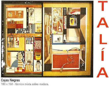 Cajas Negras