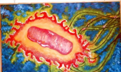 colección bacterias