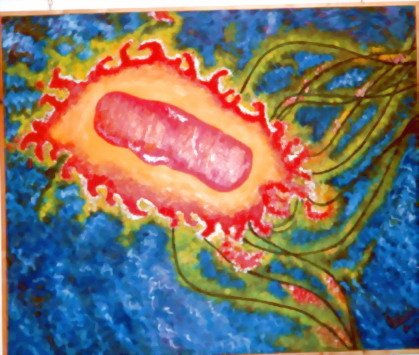 Salmonella Acrylic Canvas Others