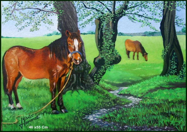 Caballos que Pacen Oil Canvas Animals