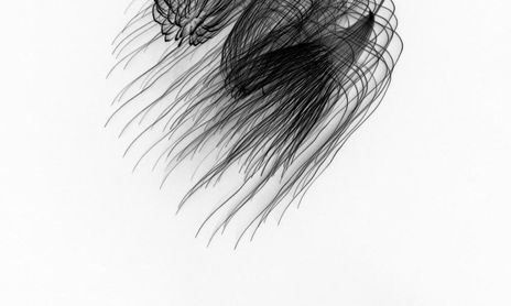 Black Drawings